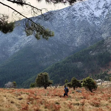 Hostal-restaurante Fogón De Gredos Guisando